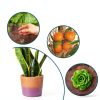 Copper Mesh Roll Premium PamMittul 5in x 30ft Rodent Protection Kit-3